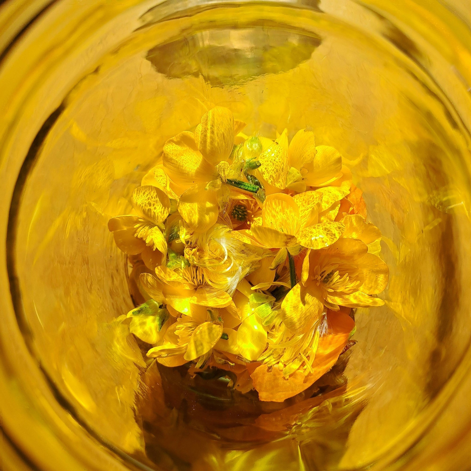 L'huile ozonée : un actif unique au service de la peau