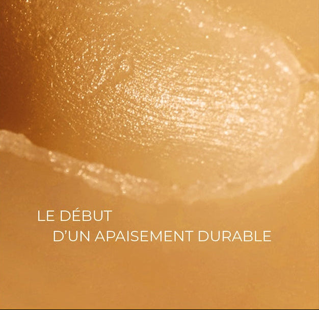 Baume 600ips | Protection