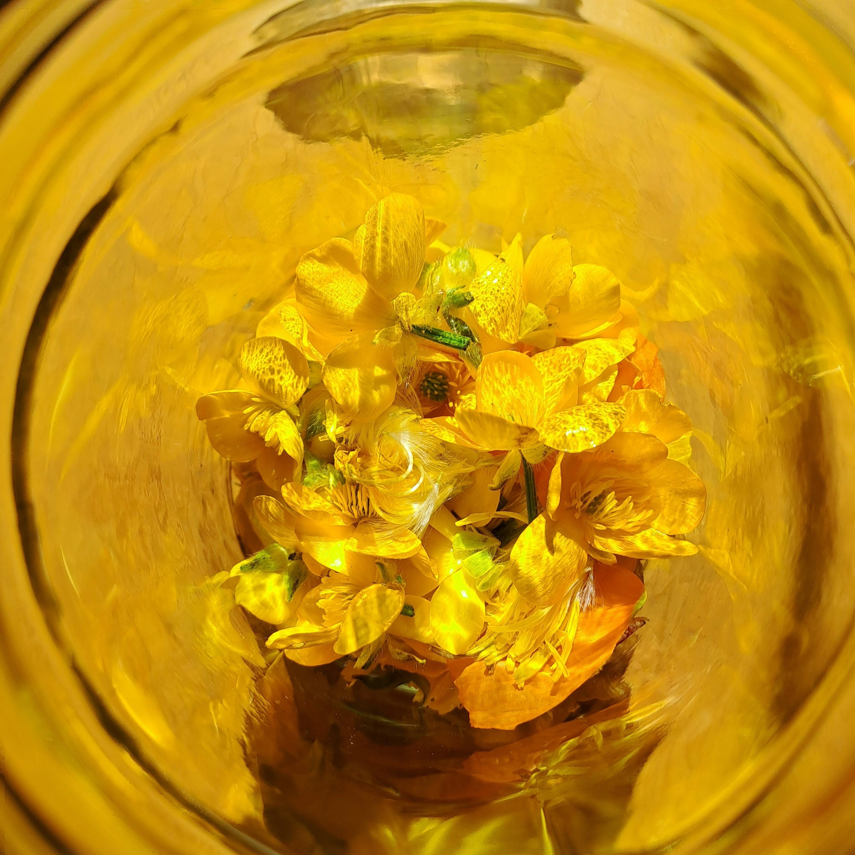 Sérum 600ips | Équilibre Pozone