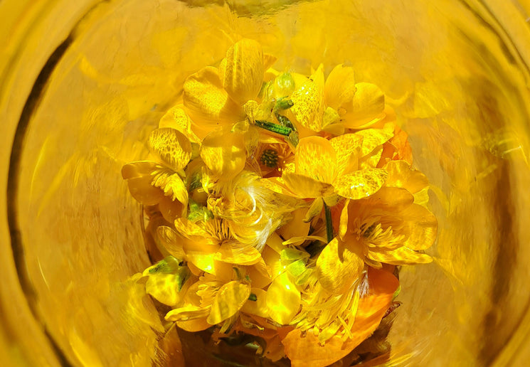 Sérum 600ips | Équilibre Pozone