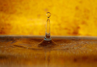 Sérum 600ips - 30ml Pozone